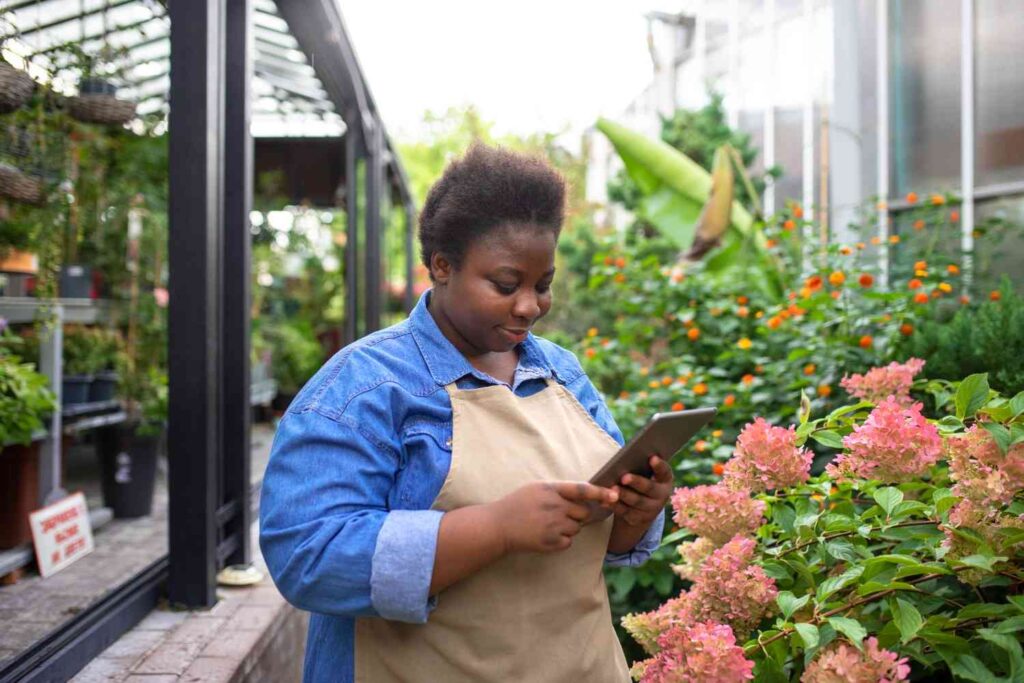 Nigerian youth using tablet to monitor hydroponic farming system